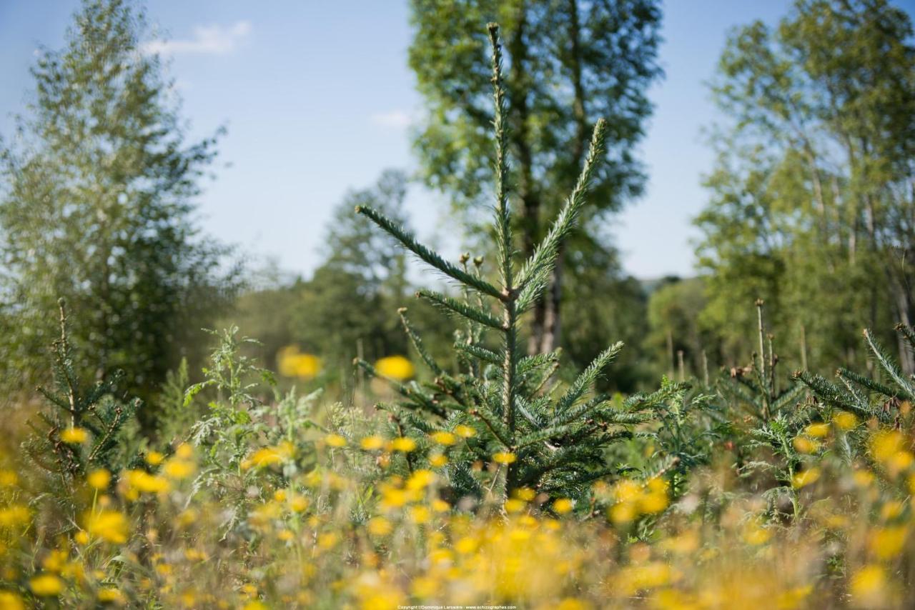 Le Relais Des Lacs Bourgogne Morvan Planchez Kültér fotó